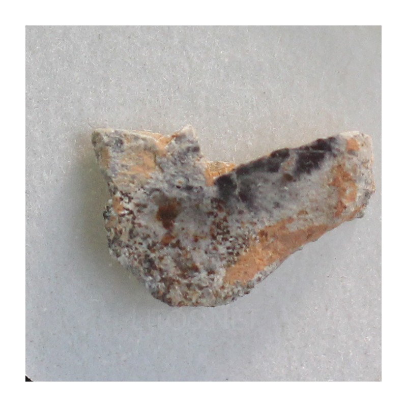 Meteorito lunar brecha anortosita