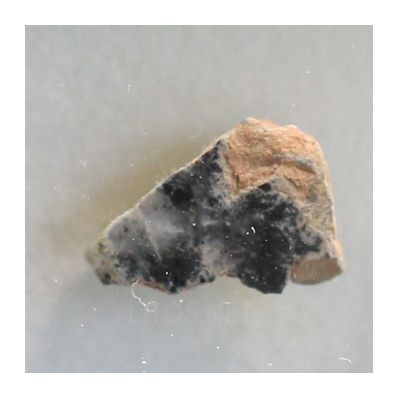 Meteorito lunar brecha anortosita