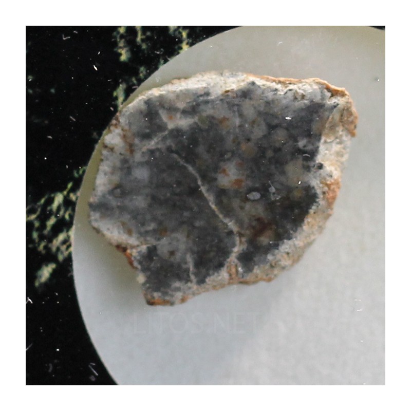 Meteorito lunar brecha anortosita