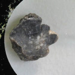 Meteorito lunar brecha anortosita