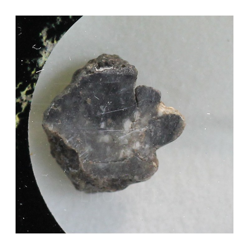 Meteorito lunar brecha anortosita