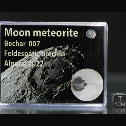 Meteorito lunar brecha anortosita