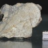Meteorito NWA