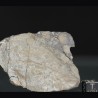 Meteorito NWA