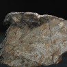 Meteorito NWA