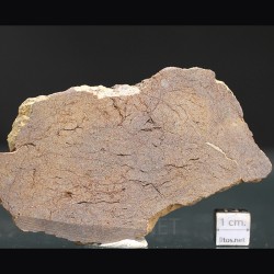 Meteorito acondrita winonaita