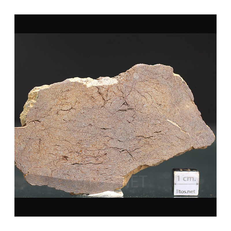 Meteorito acondrita winonaita