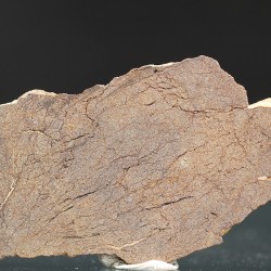 Meteorito acondrita winonaita