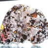 Meteorito Seymchan