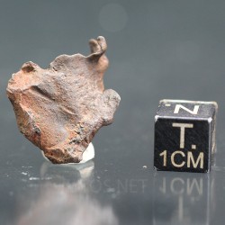 Meteorito Djebel Kamil