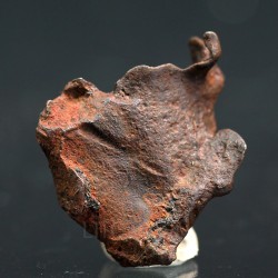Meteorito Djebel Kamil