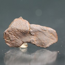 Meteorito Djebel Kamil