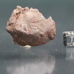 Meteorito Djebel Kamil