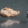 Meteorito Djebel Kamil