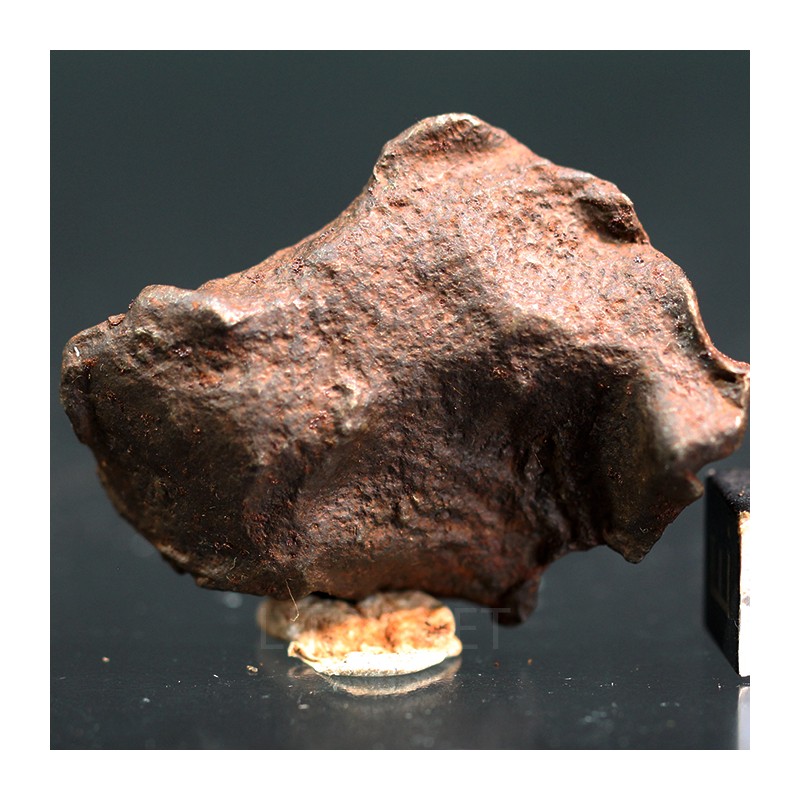 Meteorito Djebel Kamil