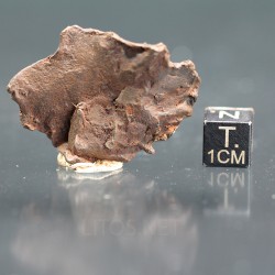 Meteorito Djebel Kamil