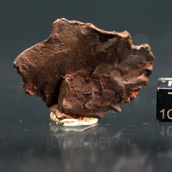 Meteorito Djebel Kamil