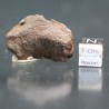 Meteorito Djebel Kamil