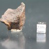 Meteorito Djebel Kamil