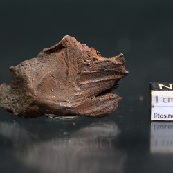 Meteorito Djebel Kamil