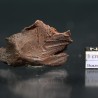 Meteorito Djebel Kamil