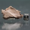 Meteorito Djebel Kamil