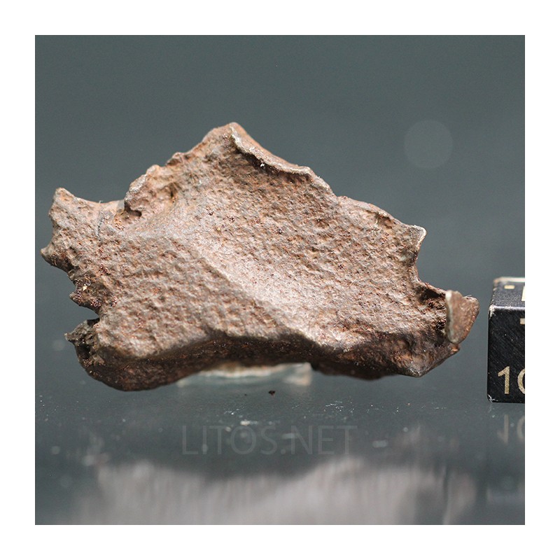 Meteorito Djebel Kamil