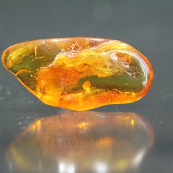 Ambar