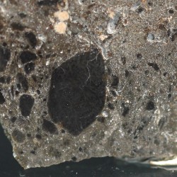 NEA104
