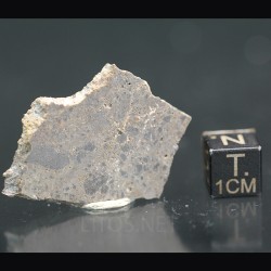 NEA104