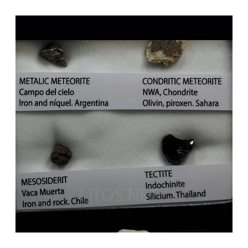 Colección de meteoritos y tectita