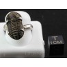 Anillo Trilobite J695