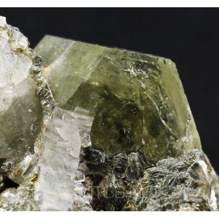 Fluorapatito Fluorapatito