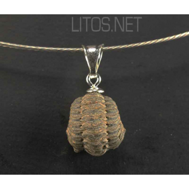 Colgante trilobite