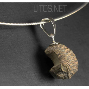 Colgante trilobite