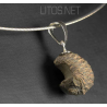 Colgante trilobite