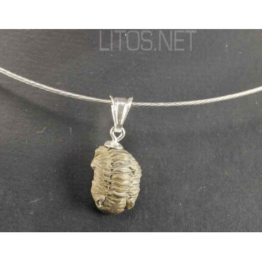 Colgante trilobite