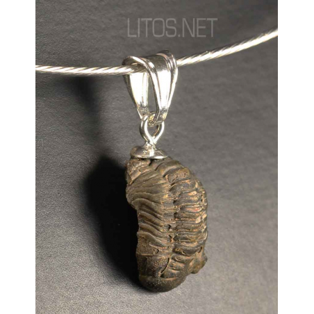 Colgante trilobite Colgante trilobite