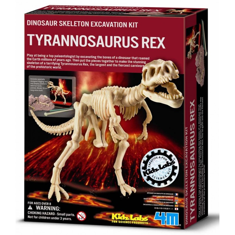 Excavación de dinosaurio Tyrannosaurus