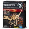 Excavación de dinosaurio velociraptor