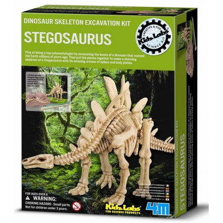 Excavación de dinosaurio stegosaurus Excavación de dinosaurio stegosaurus
