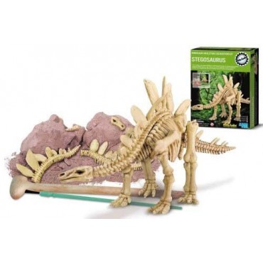 Excavación de dinosaurio stegosaurus