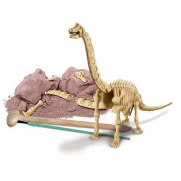 Excavación de dinosaurio braquiosaurus
