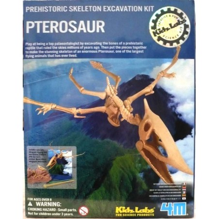 Excavación de pterosaurus