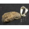 Colgante trilobite