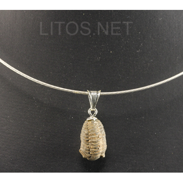 Colgante trilobite