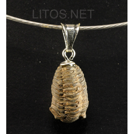 Colgante trilobite