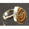 Anillo de Ammonite fosilizado