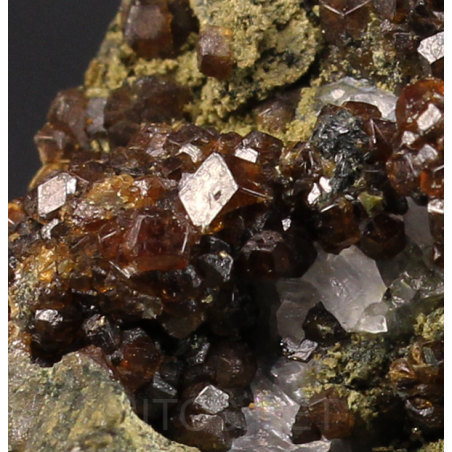 Plagioclasa y grosularia Plagioclasa y grosularia