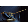 Velocirraptor